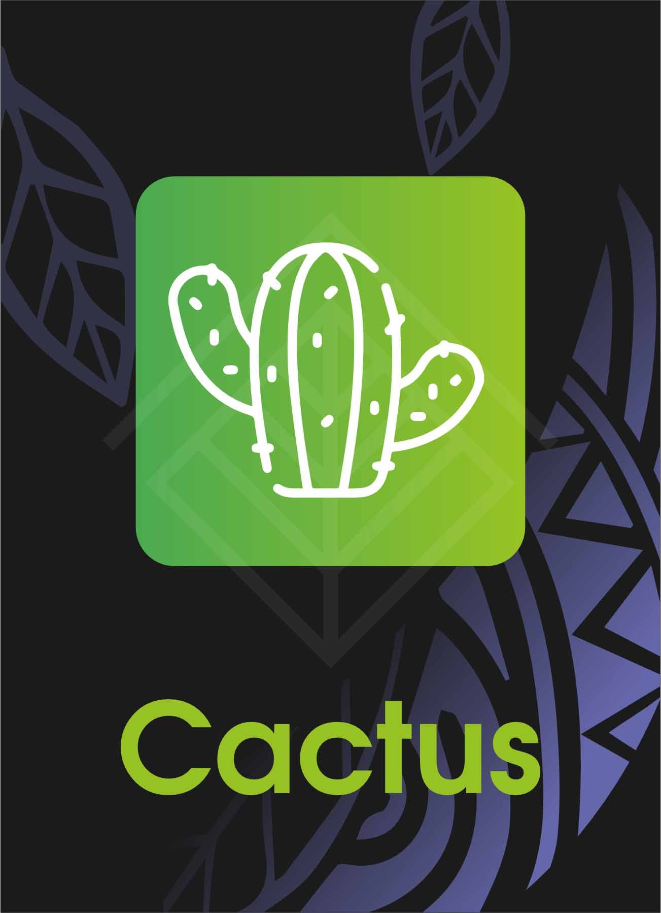 Cactus (Caktys)